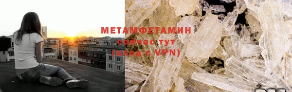 шишки Ельня