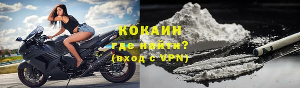 ГАЛЛЮЦИНОГЕННЫЕ ГРИБЫ Дмитриев