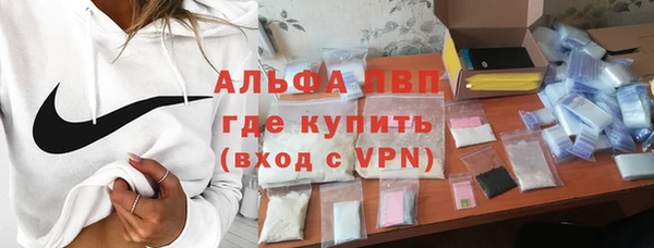 ГАЛЛЮЦИНОГЕННЫЕ ГРИБЫ Дмитриев