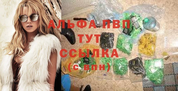 ГАЛЛЮЦИНОГЕННЫЕ ГРИБЫ Дмитриев