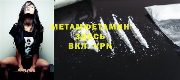 ГАЛЛЮЦИНОГЕННЫЕ ГРИБЫ Дмитриев