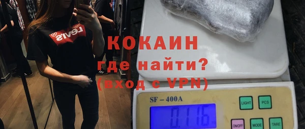 шишки Ельня