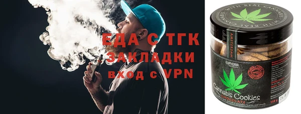 ГАЛЛЮЦИНОГЕННЫЕ ГРИБЫ Дмитриев