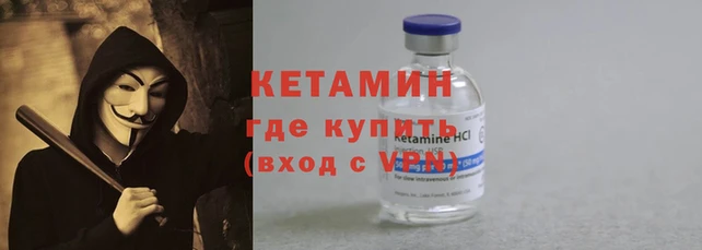 ГАЛЛЮЦИНОГЕННЫЕ ГРИБЫ Дмитриев