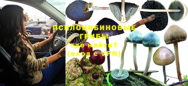 каннабис Дмитров