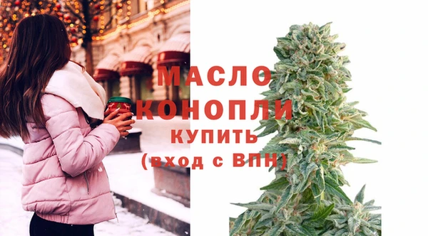шишки Ельня