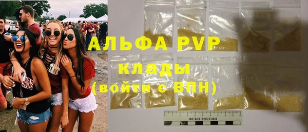 ГАЛЛЮЦИНОГЕННЫЕ ГРИБЫ Дмитриев