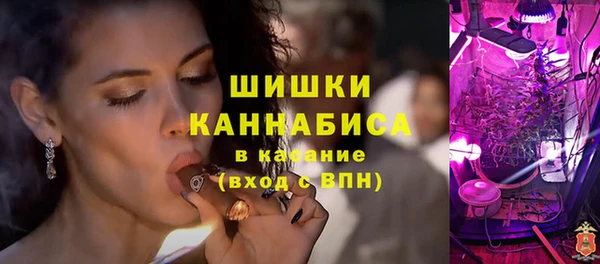 шишки Ельня
