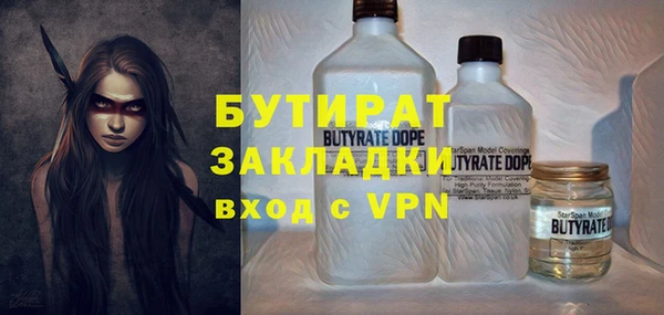 шишки Ельня