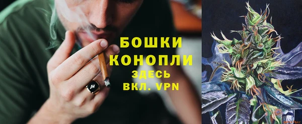 дживик Елизово