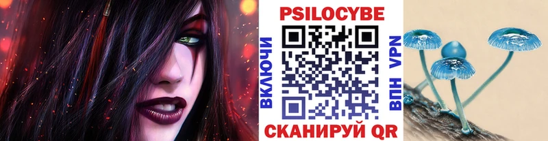 Галлюциногенные грибы GOLDEN TEACHER  OMG как войти  Павловская 